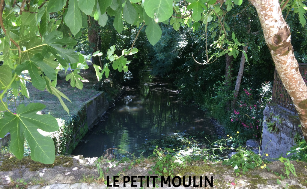 LE PETIT MOULIN